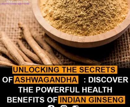 Unlocking The Secrets Of Ashwagandha: Discover The Powerful Health Benefits Of Indian Ginseng